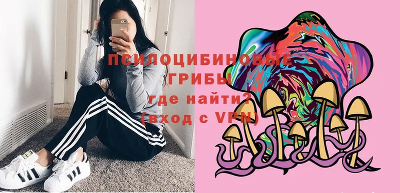 Псилоцибиновые грибы Magic Shrooms  Пугачёв 